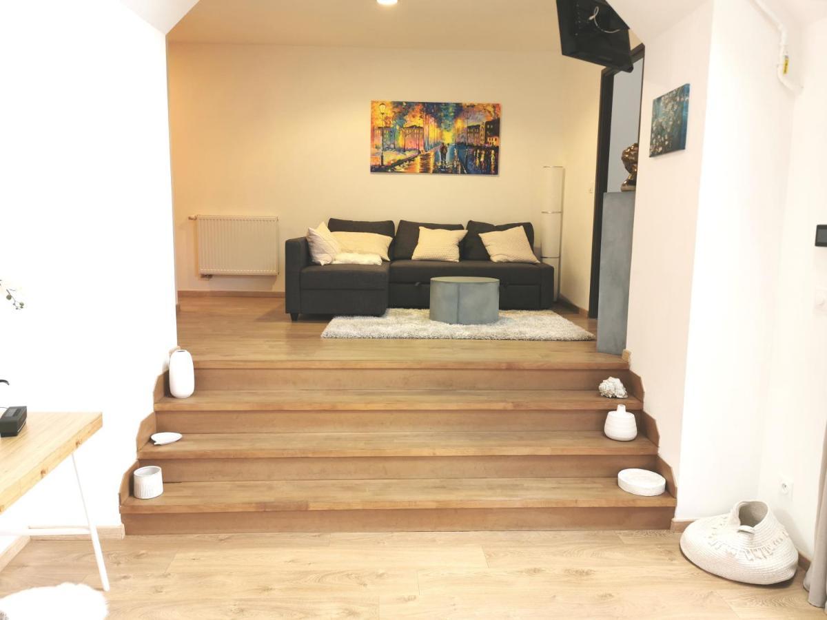 Appartement De Standing 8 Personnes Centre Historique De קולמר מראה חיצוני תמונה