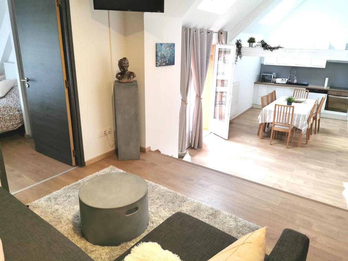 Appartement De Standing 8 Personnes Centre Historique De קולמר מראה חיצוני תמונה